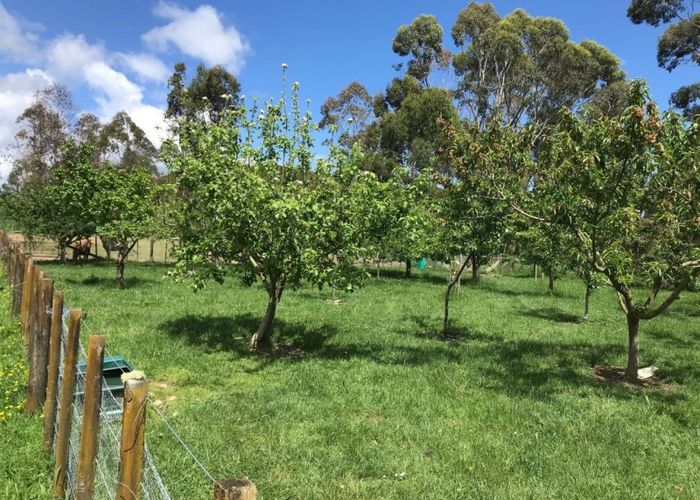  at 73 Greenwood Boulevard, Otaki