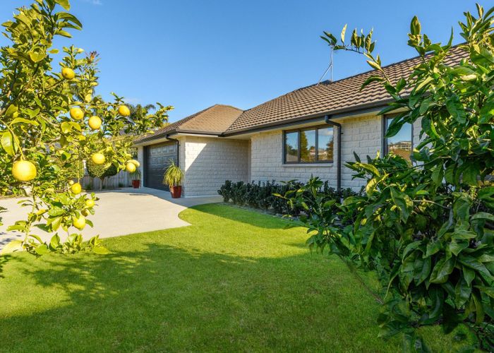  at 19 Inglewood Place, Bethlehem, Tauranga, Bay Of Plenty