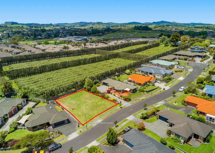  at 7 Corwen Avenue, Hairini, Tauranga