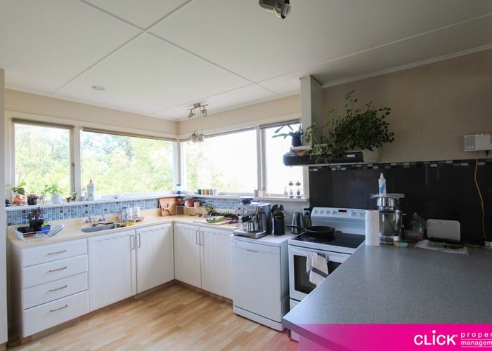  at 238 Kenmure Road, Kenmure, Dunedin, Otago