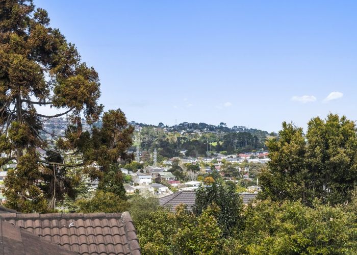  at 13A Maioro Street, New Windsor, Auckland City, Auckland