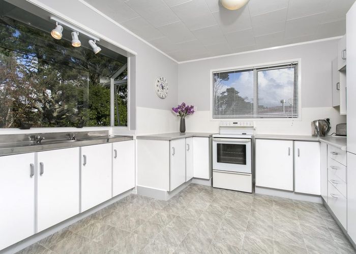  at 17 Cunliffe Place, Glenfield, North Shore City, Auckland