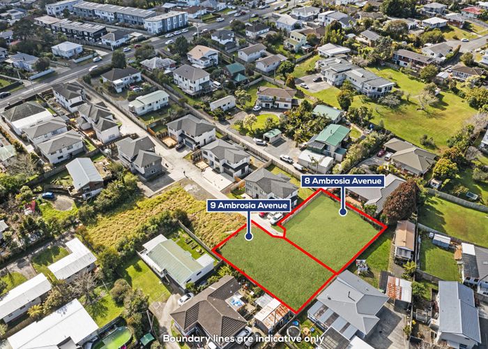  at 8 & 9 Ambrosia Avenue, Henderson, Waitakere City, Auckland
