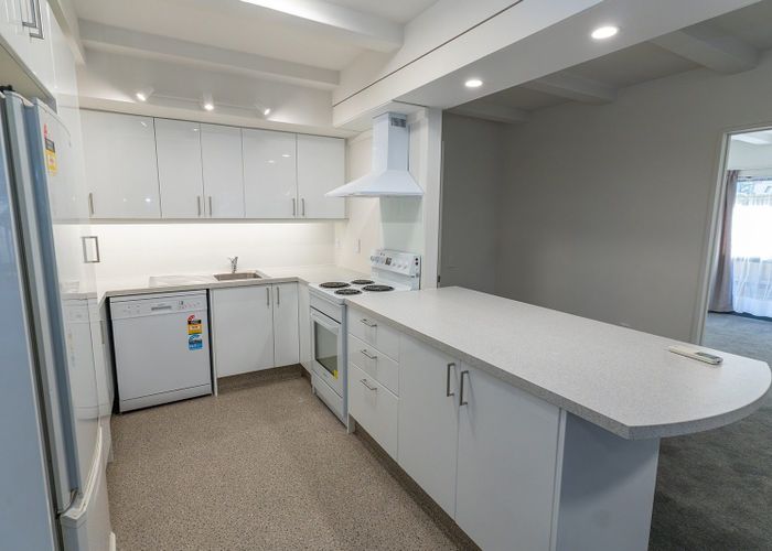  at Flat 1/2 Ethel Benjamin Place, North Dunedin, Dunedin, Otago