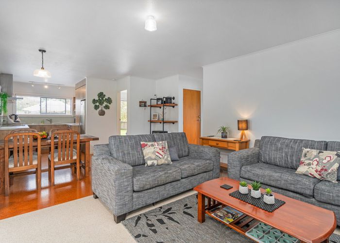  at 29 Oyster Drive, Cooks Beach, Whitianga