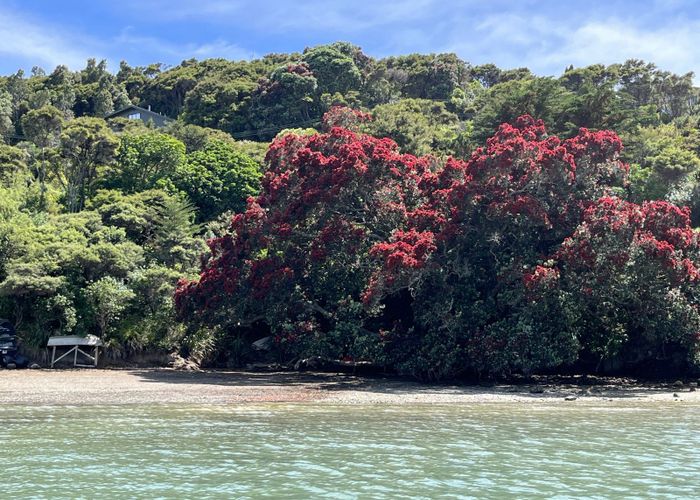  at 515 Wyuna Bay Road, Coromandel, Thames-Coromandel, Waikato