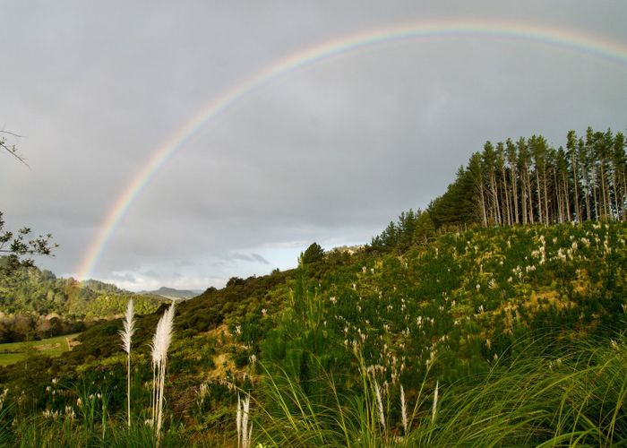  at 1870 The 309 Road, Whitianga, Thames-Coromandel, Waikato