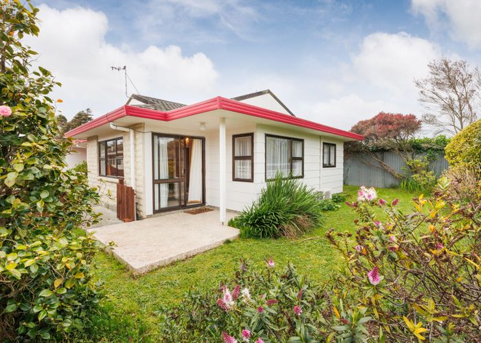  at 55A Chatsworth Place, Highbury, Palmerston North