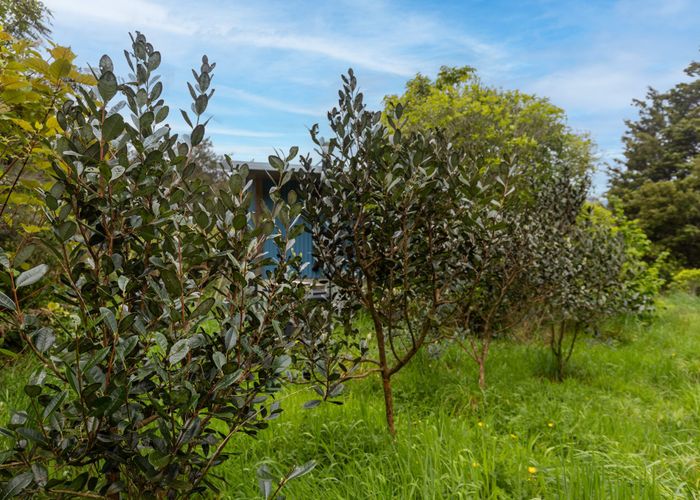  at 1292 Aorere Valley Road, Bainham