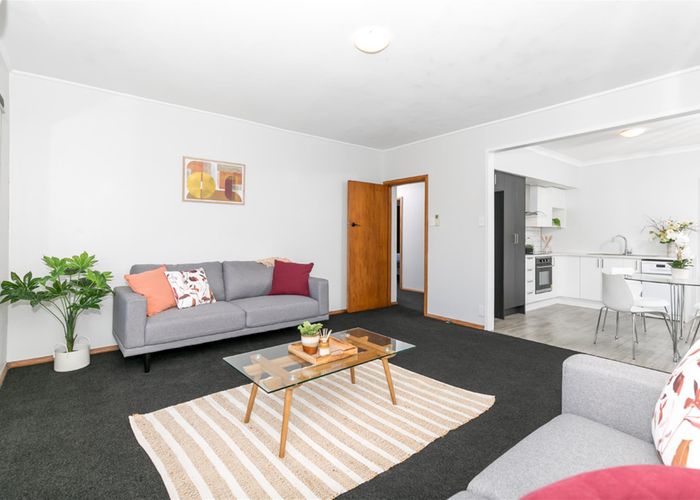  at 167 Clarkin Road, Fairfield, Hamilton