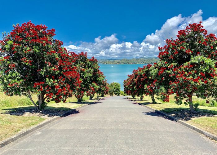  at 16 Grant Street, Mahurangi East, Rodney, Auckland