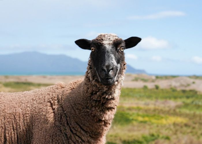 at 245 Te Hapua Road, Otaki
