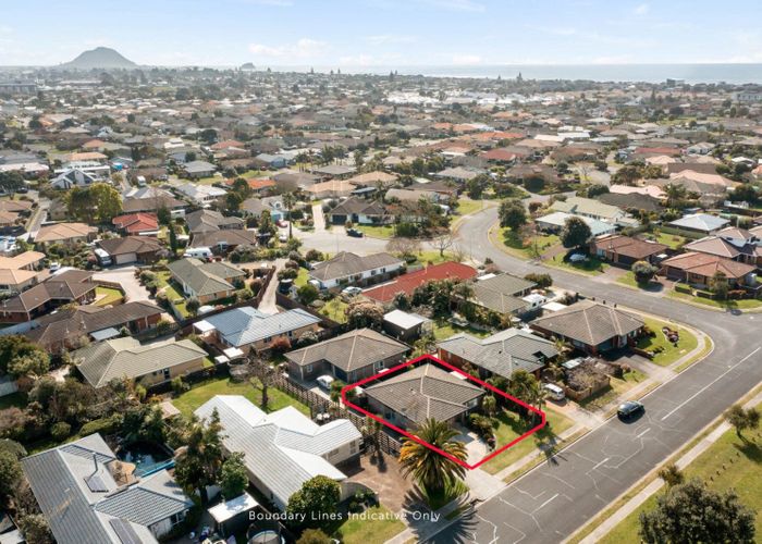  at 11A Hibiscus Avenue, Mount Maunganui, Mount Maunganui