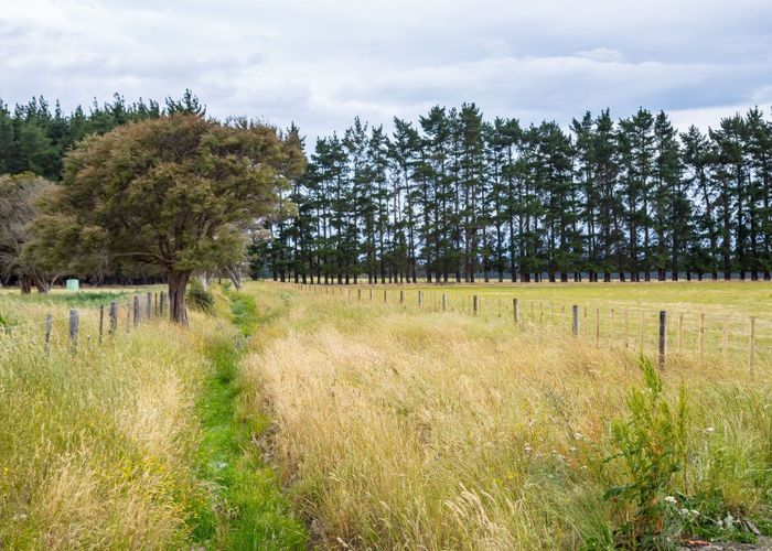  at 372 Wiltons Road, Carterton, Carterton, Wellington