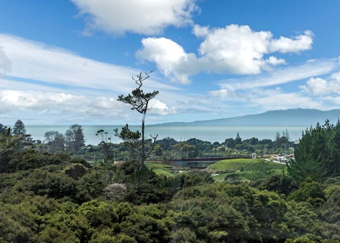  at 82 Vaughans Road, Long Bay, Auckland