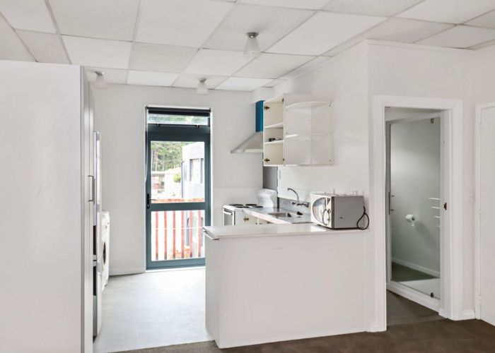  at 19 Hanson Street, Mount Cook, Wellington, Wellington