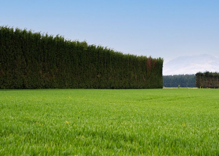  at Warr Road, Balfour, Southland, Southland