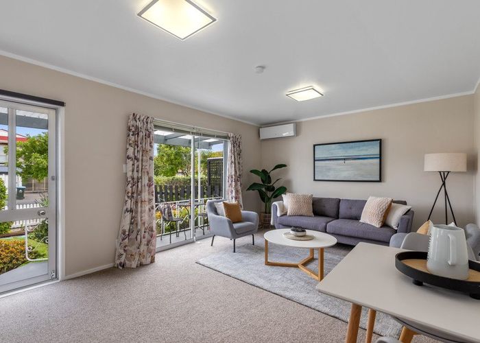  at 17 Newcastle Terrace, Mount Albert, Auckland City, Auckland