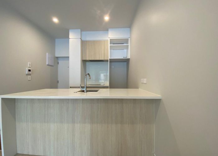  at 316/14 Edgerley Avenue, Epsom, Auckland City, Auckland