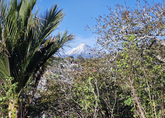  at 51 Young Street, City Centre, New Plymouth, Taranaki