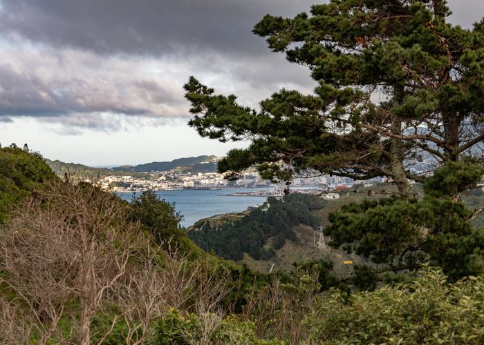 at 20 Miles Crescent, Newlands, Wellington, Wellington