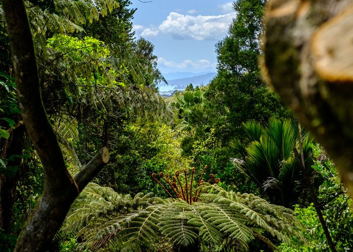  at 118 Opanuku Road, Henderson Valley, Auckland