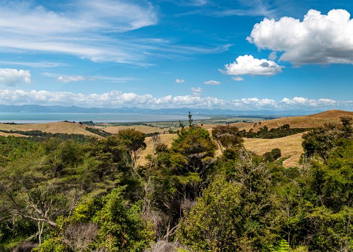  at 97 Rataroa Road, Pokeno
