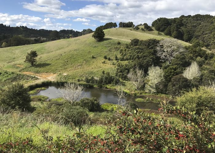  at 97 Saleyards Road, Puhoi, Warkworth