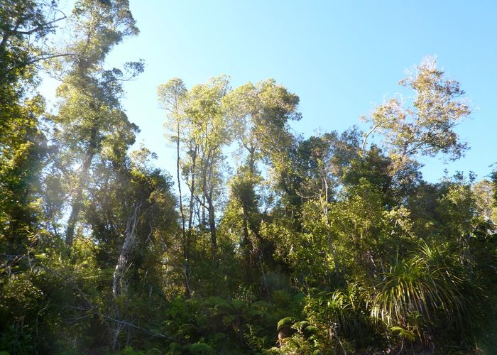  at 35 Mokihinui Preserve, Seddonville, Westport