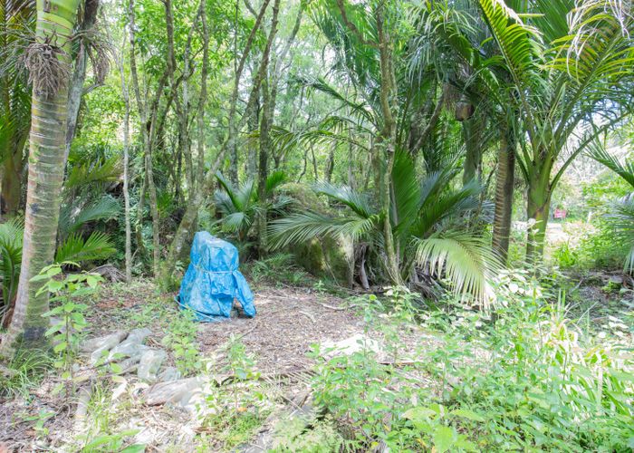  at 12 Hartmount Place, Te Miko