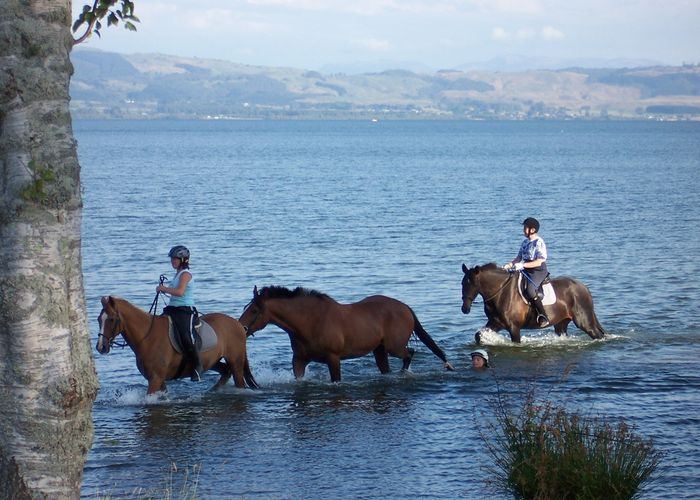  at 631A Hamurana Road, Hamurana