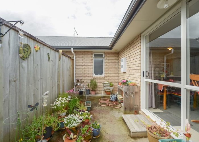  at 3C Pitt Street, Frankton, Hamilton
