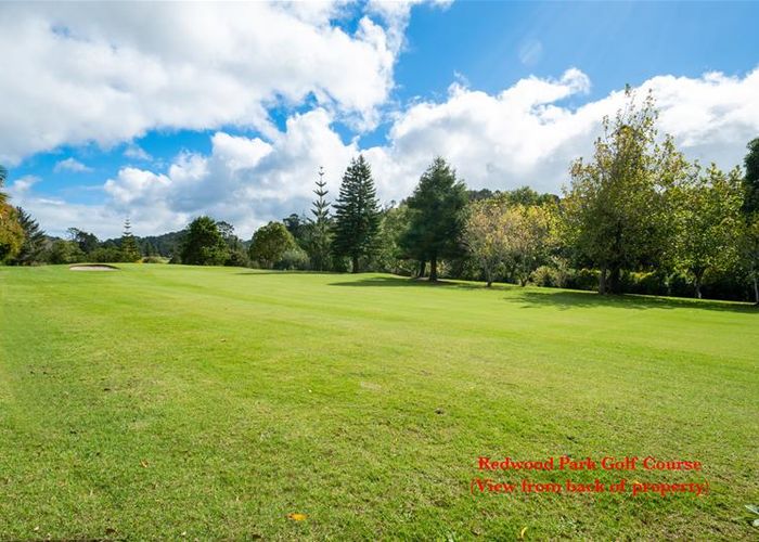  at 38 Redlands Grove, Swanson, Auckland