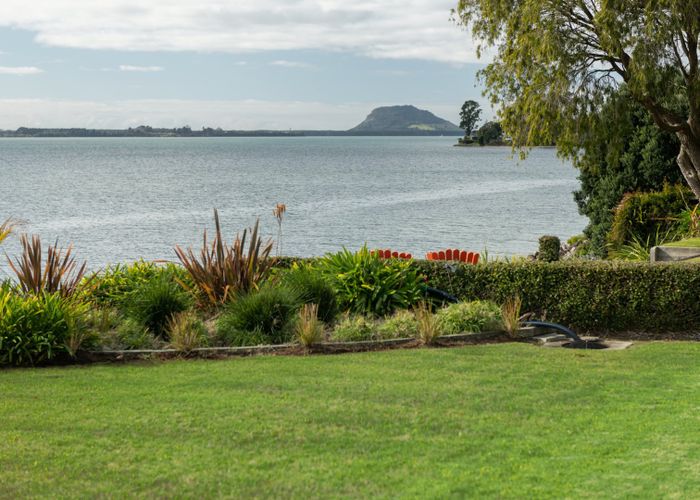  at 12 FAIRLIE GROVE, Whakamarama, Gisborne