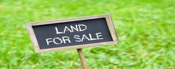 at 21 Michael Bosher WAY, Flat Bush, Auckland