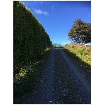  at 74 Mangakahia Road, Whangarei