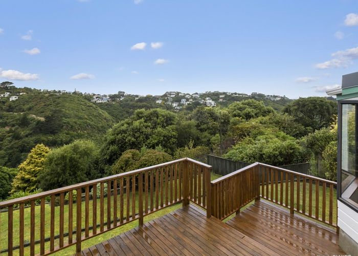  at 259 Mitchell Street, Brooklyn, Wellington