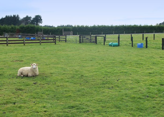  at 170 Wilcox Road, Seaward Bush, Invercargill