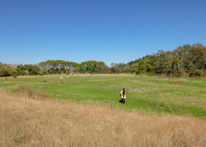  at 185 Tyntesfield Road, Waihopai Valley, Blenheim