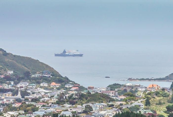  at 16 Havelock Street, Mornington, Wellington