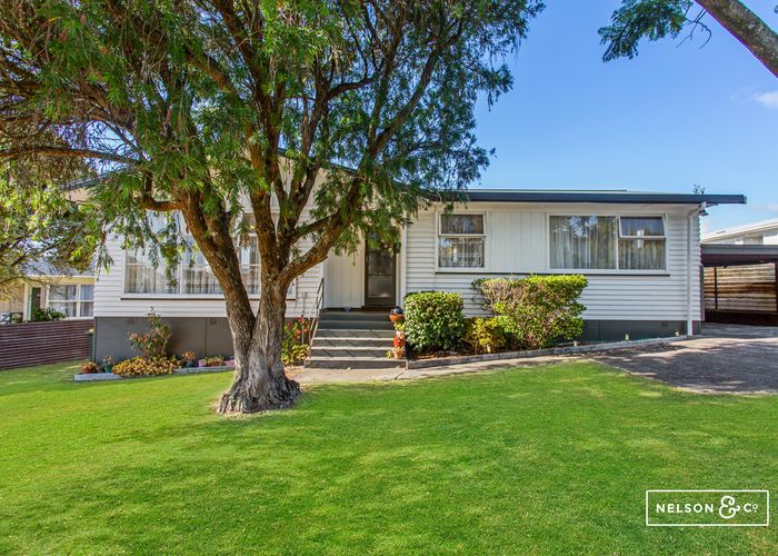  at 19 Frangipani Avenue, Manurewa, Auckland
