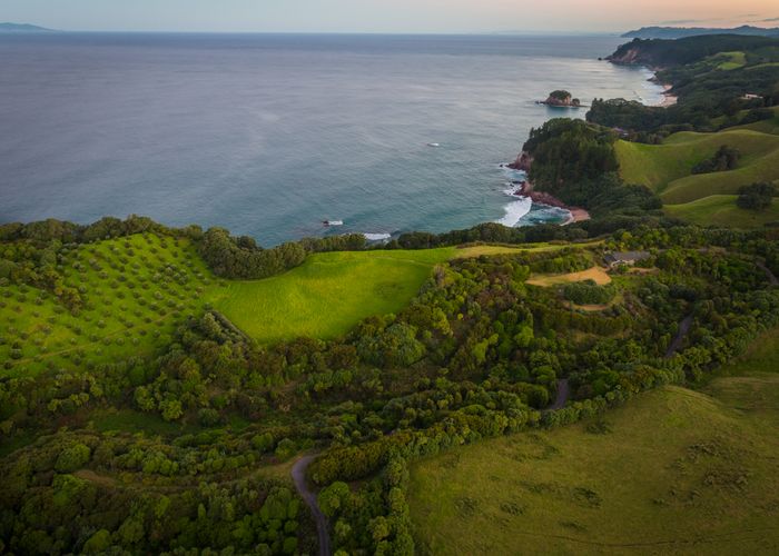 at 339 Onemana Drive, Onemana, Whangamatā