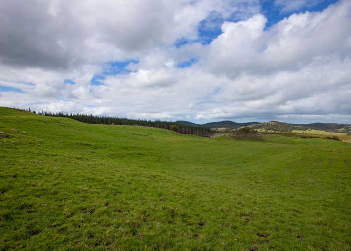  at 127A Oruawharo Road, Wellsford