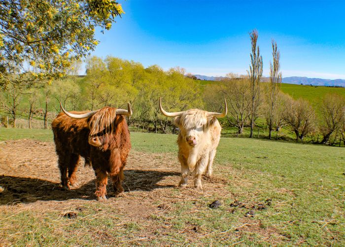  at 23 Talbot Road, Salisbury