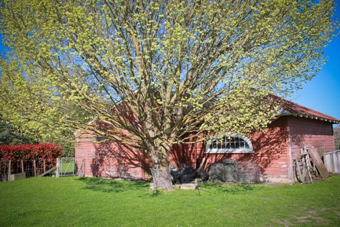  at 18 Homebush Road, Homebush, Masterton