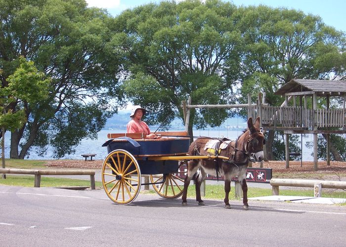  at 631A Hamurana Road, Hamurana