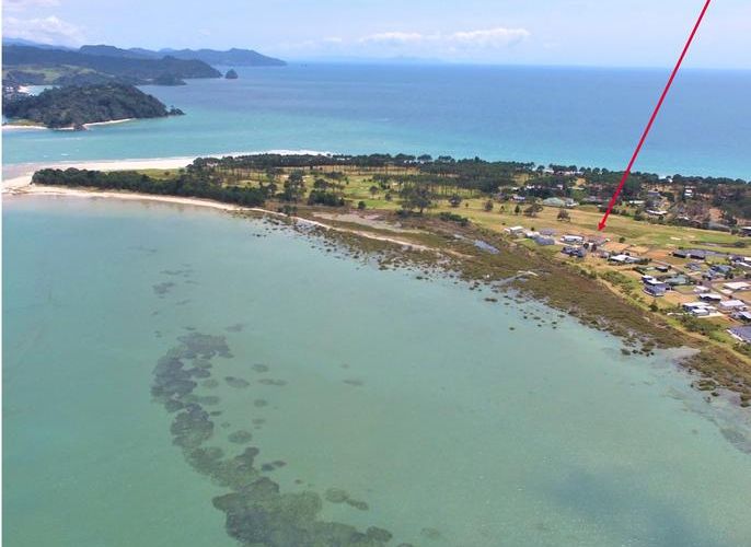  at 134 Kelly Jade Avenue, Matarangi, Whitianga