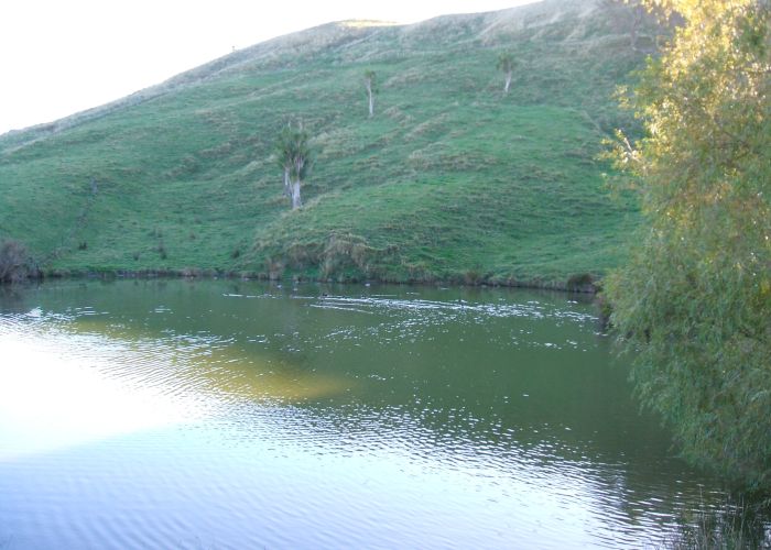  at 45A Benefield Street, Whanganui East, Whanganui