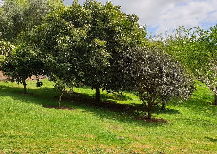  at 0 Kawhia Road, Honikiwi, Otorohanga