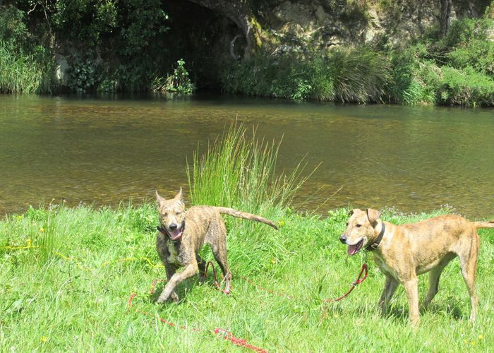  at 500 Coast Road, Wainuiomata Coast, Lower Hutt